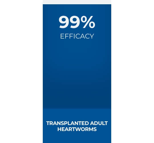 IMMITICIDE® (melarsomine dihydrochloride) for Heartworm Disease